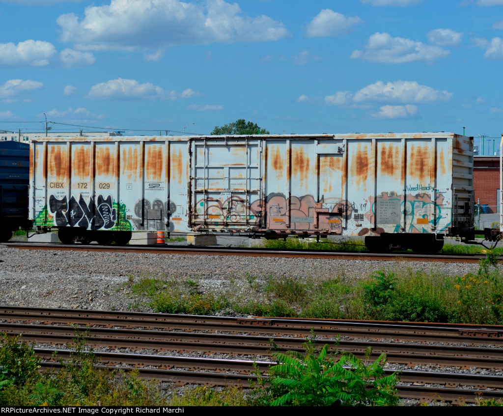 CIBX 172029