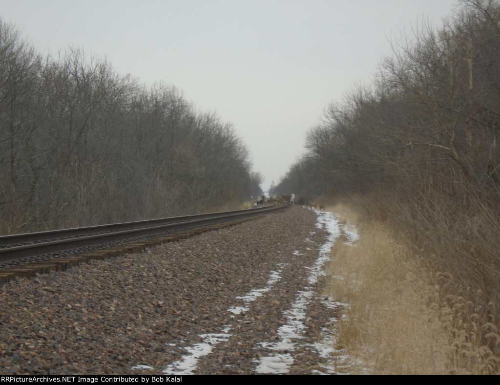  Looking North  Union Pacific Tracks & 10 Deer crossing tracks