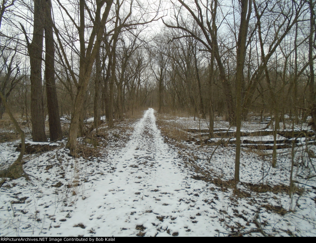 Looking East down the Illinois Central Abandond ROW