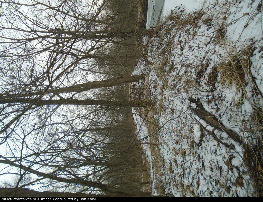 walking further East, the Illinois Central ROW just before creek crossing