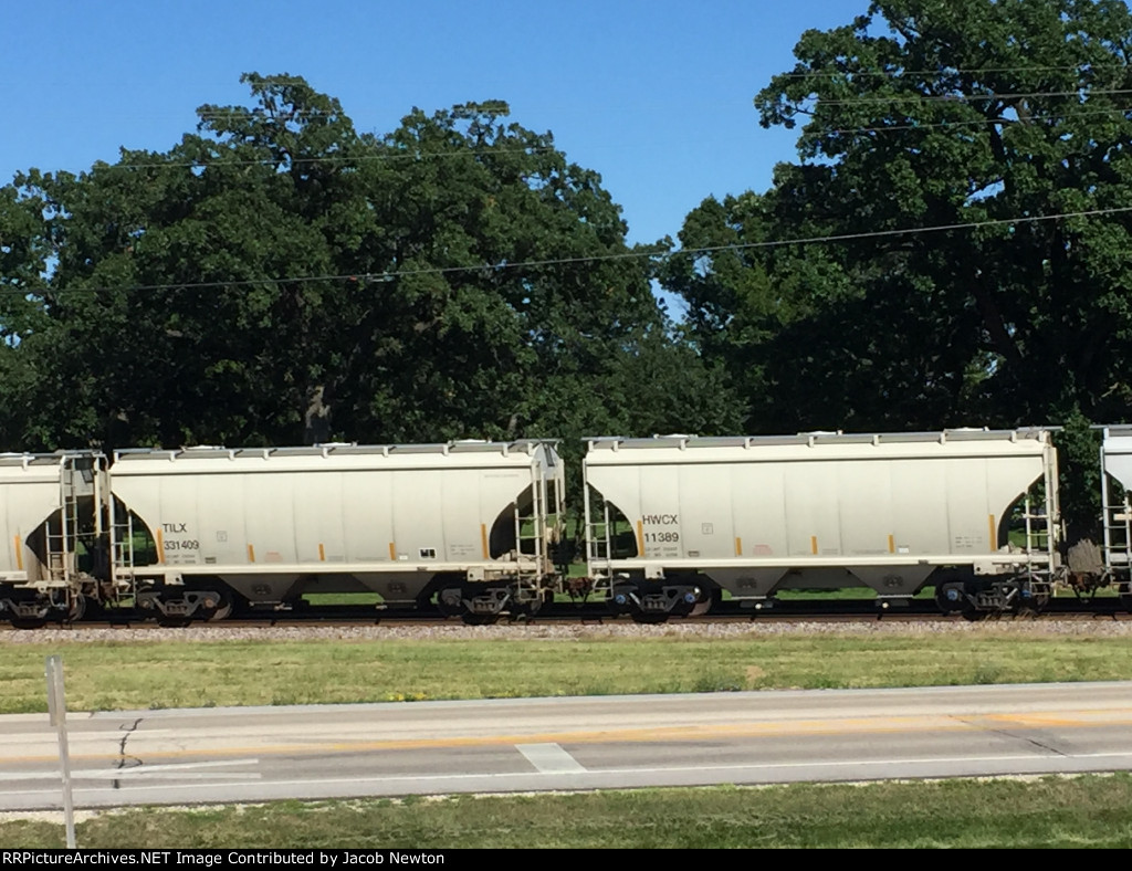 TILX 331409, HWCX 11389