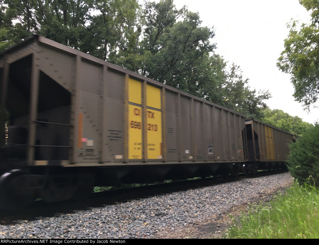 CITX 698213
