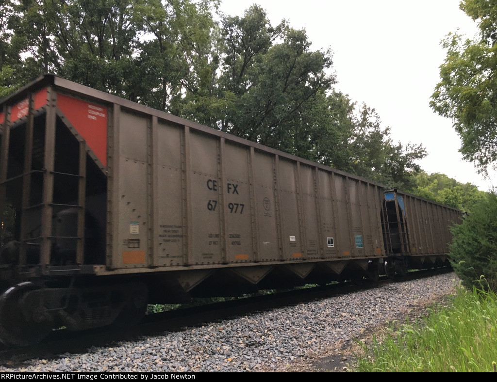 CEFX 67977