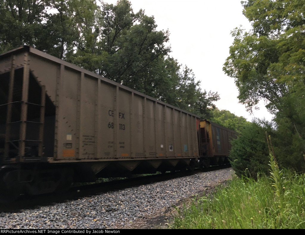 CEFX 68113