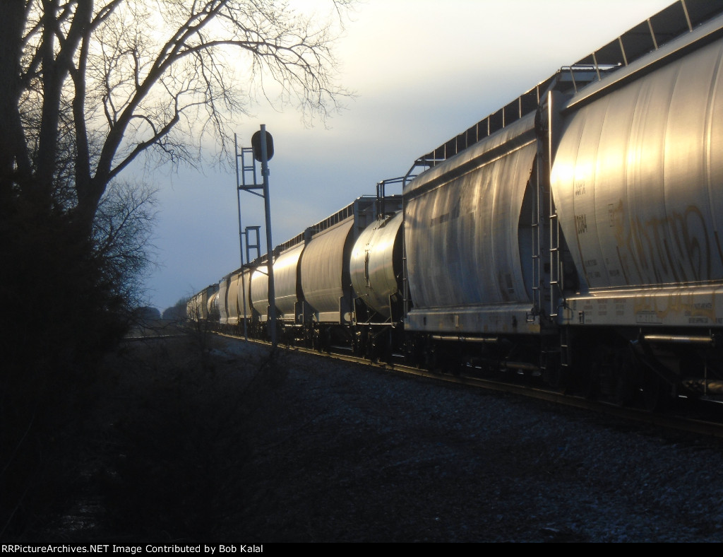 looking west at the string of cars