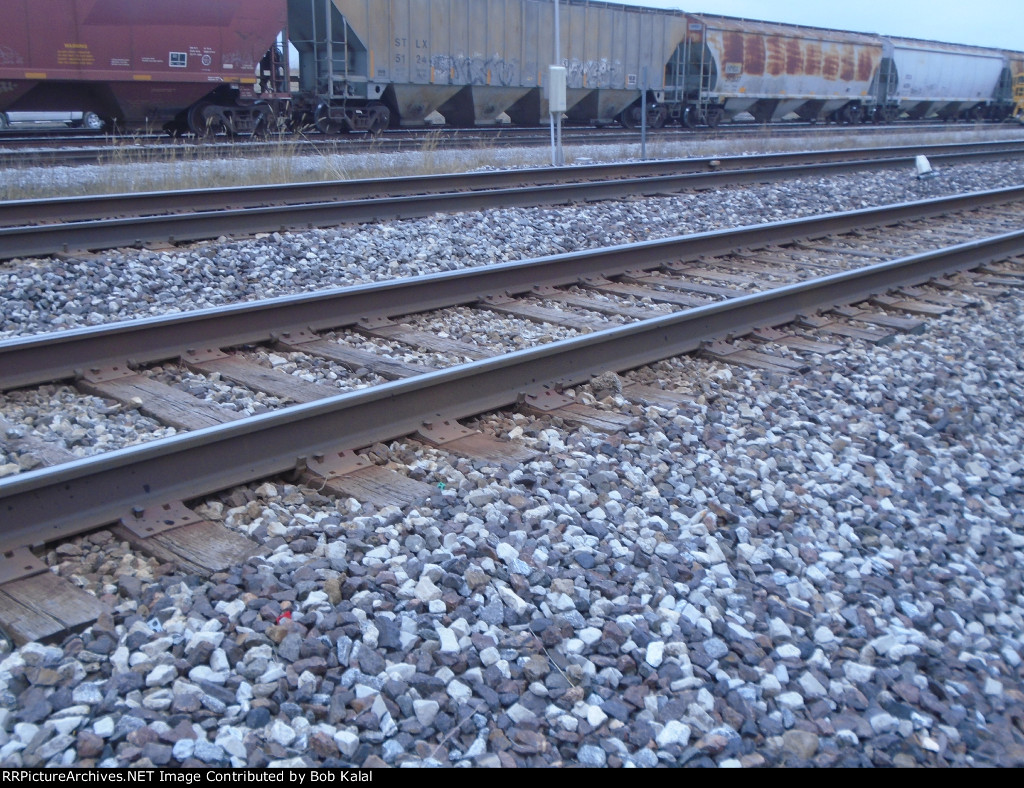 Electronic Car Scanner System