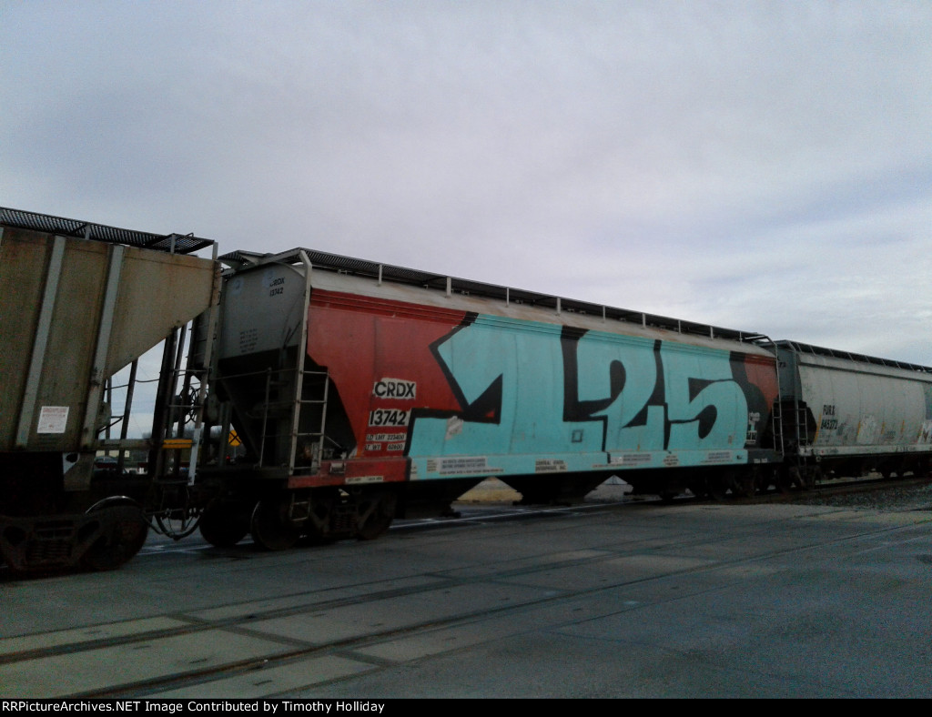 CRDX 13742