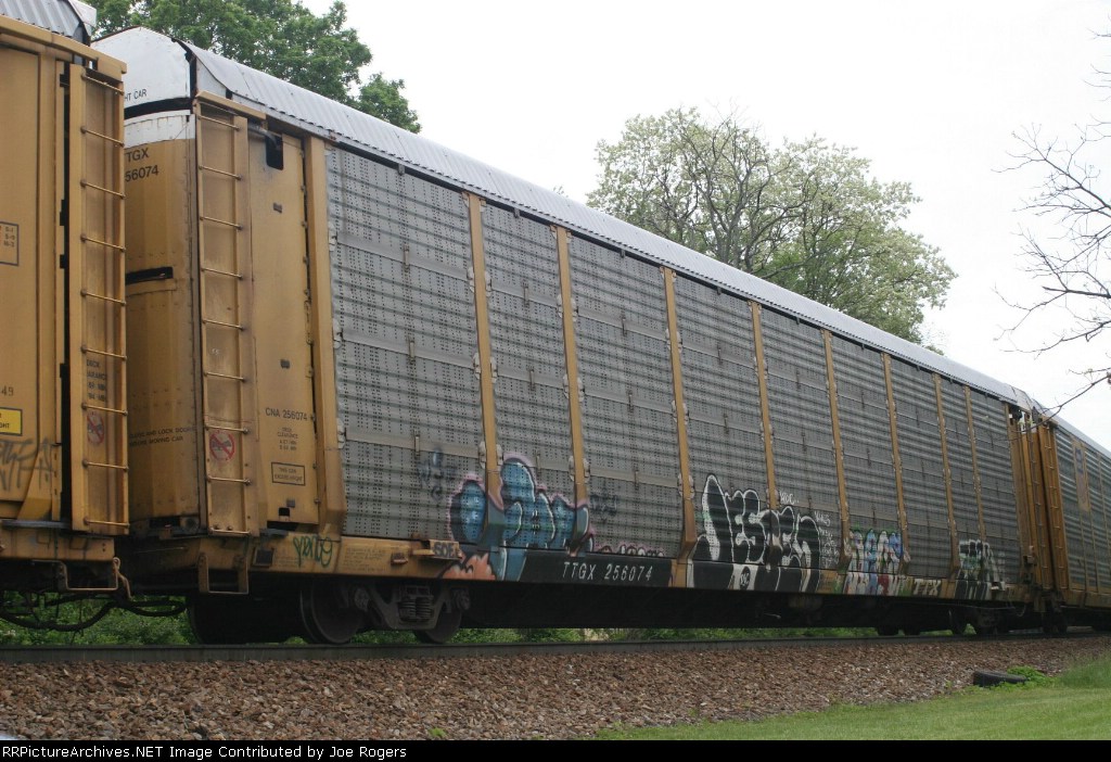 TTGX 256074