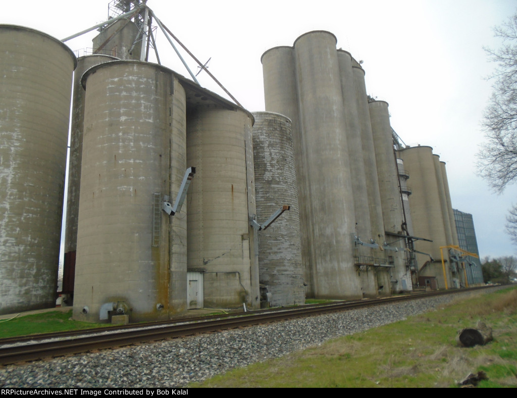 Sadorus Grain Elevator