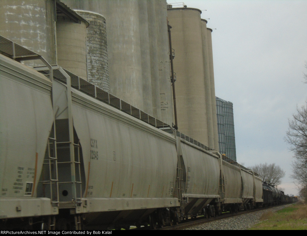 NS 4003 NS 2615 NS 2557 heading East passing Sadorus Grain Elevator
