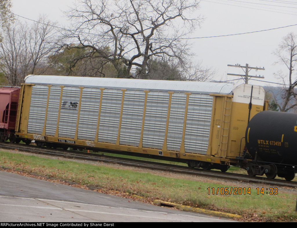 TTGX 704419