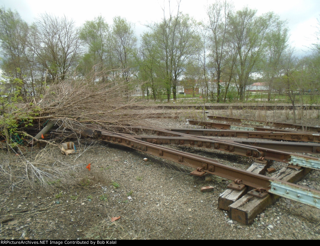 Old Diamond in the weeds