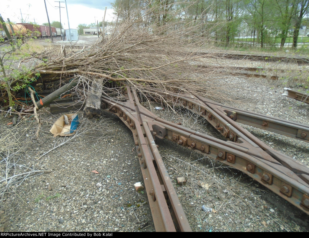 Old Diamond in the weeds