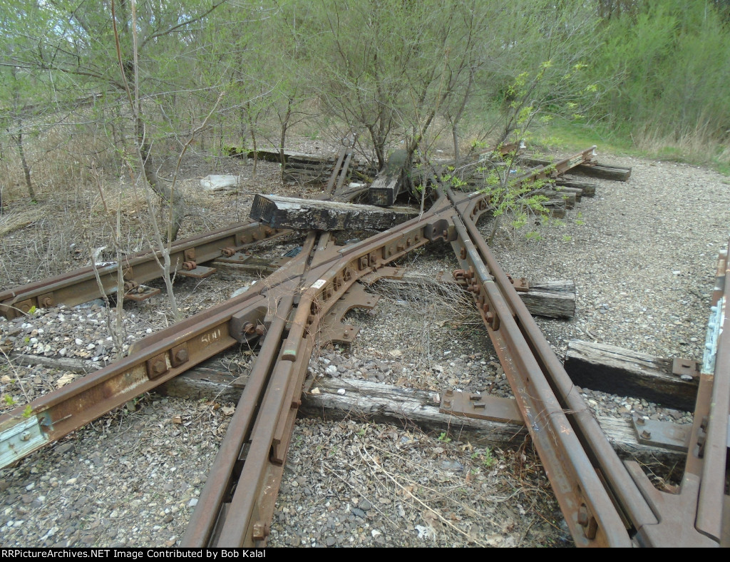 Old Diamond in the weeds