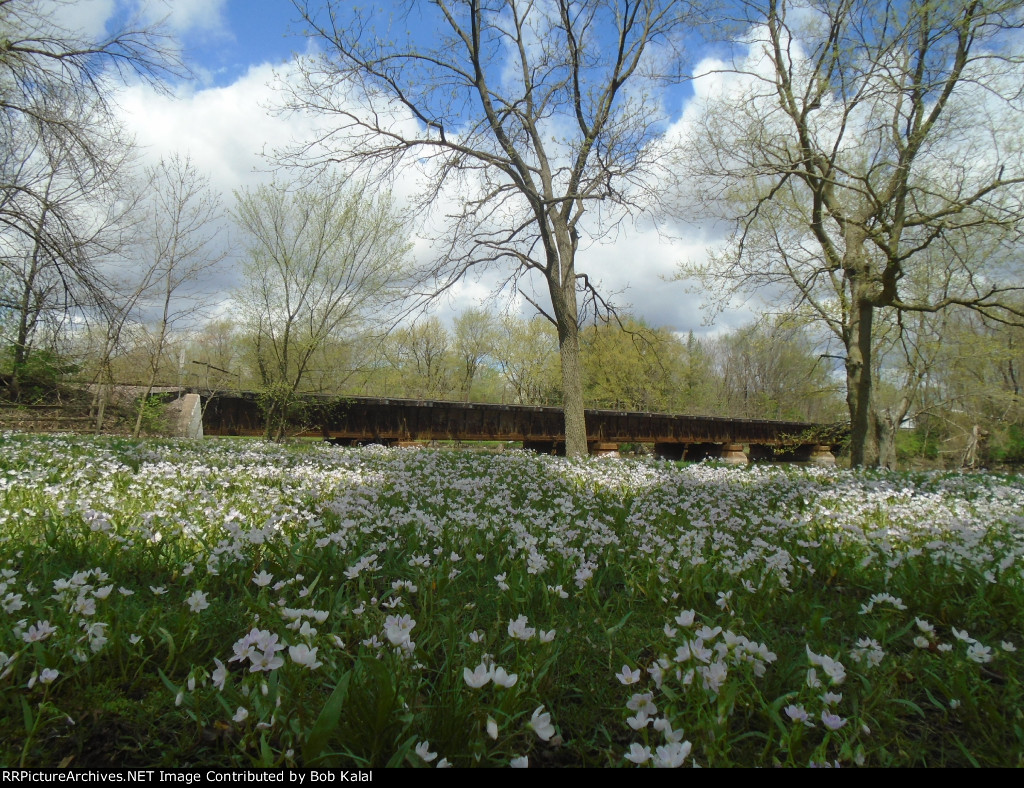 Momence Island North Trestle