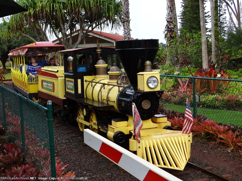 Dole Plantation "Pineapple Express"