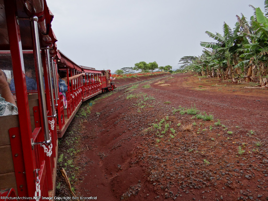 Dole Plantation "Pineapple Express"