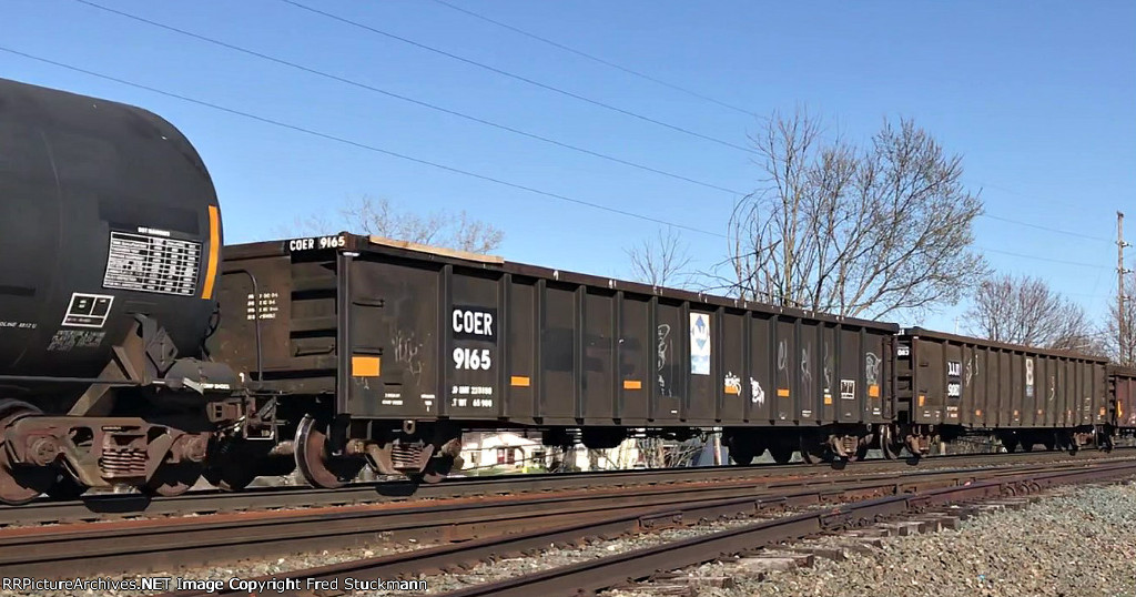 COER 9165 is new to rrpa.