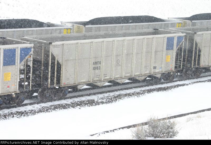 AMTX 10183