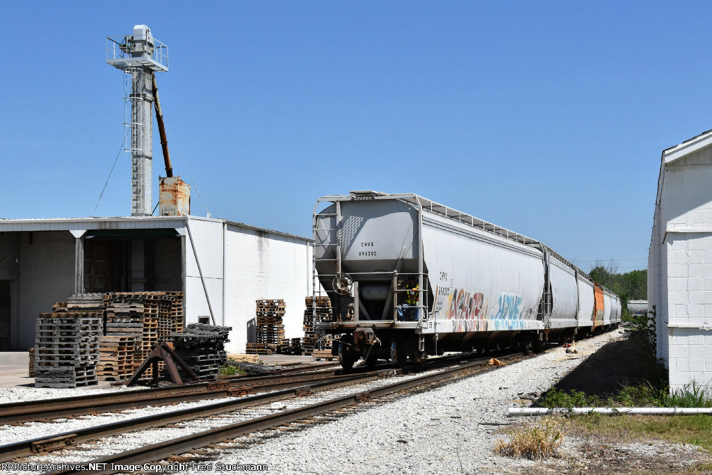 CHVX 898202 leads the way.