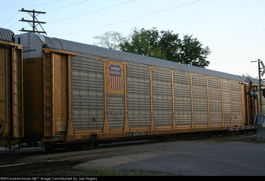TTGX 987293