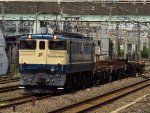 EF65-1102 with some rail transporters