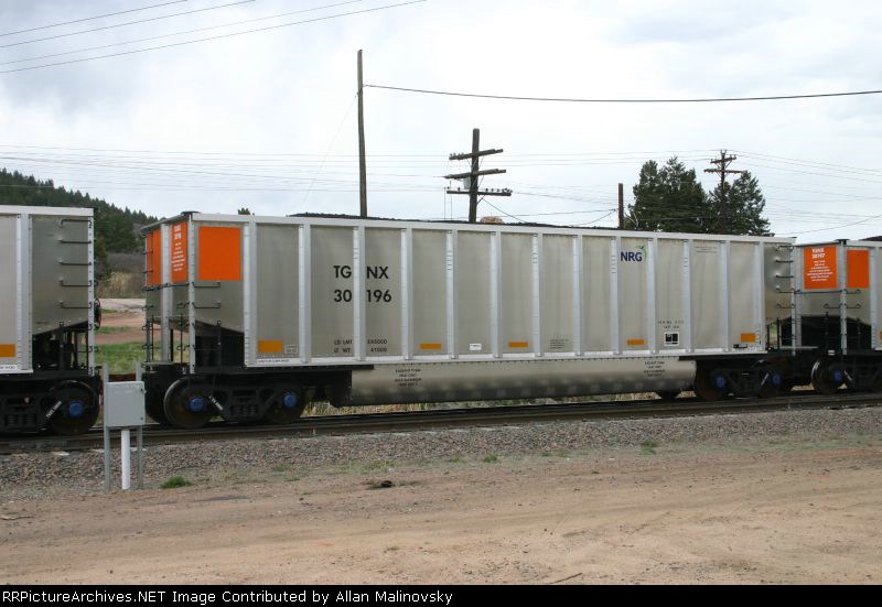 TGNX 30196