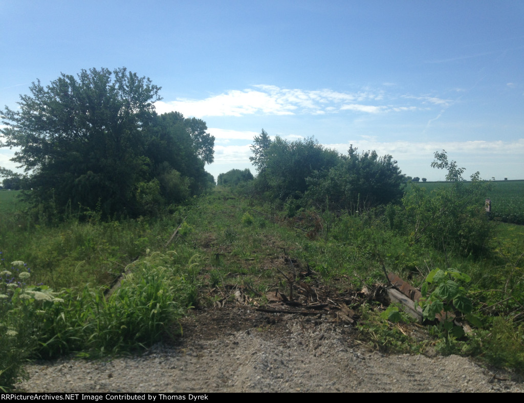 County Road Crossing South 