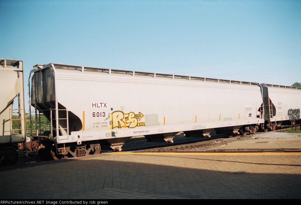 HLTX 6013