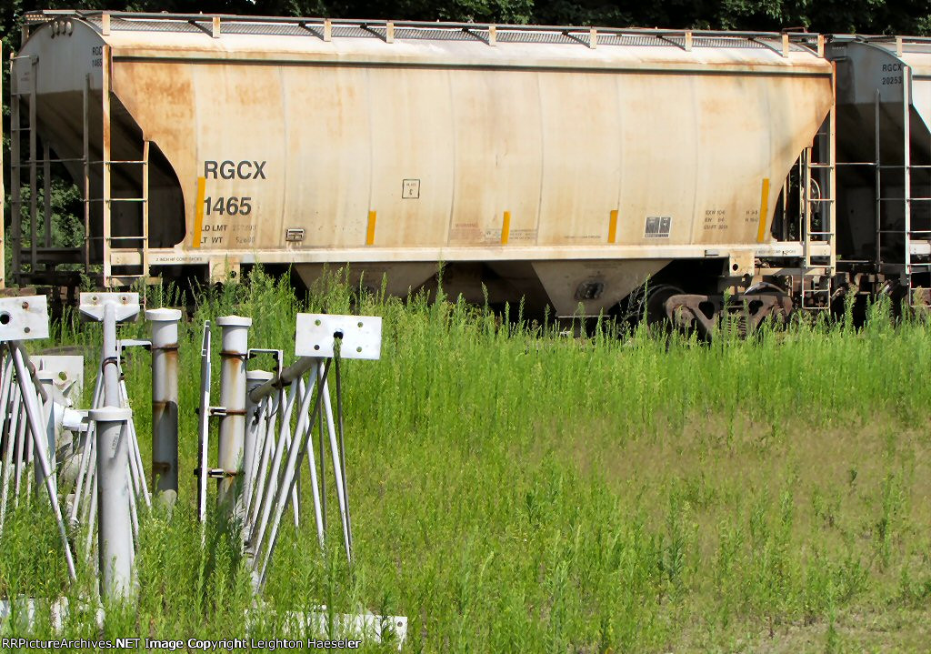 RGCX 1465