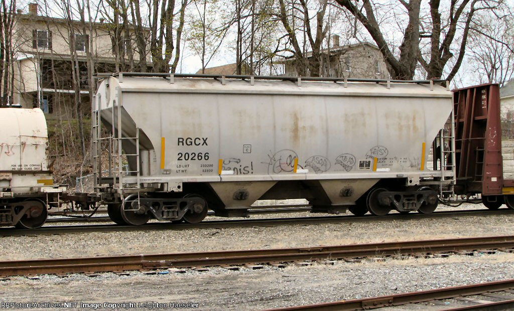 RGCX 20266