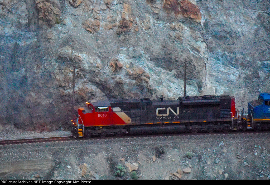CN 8018
