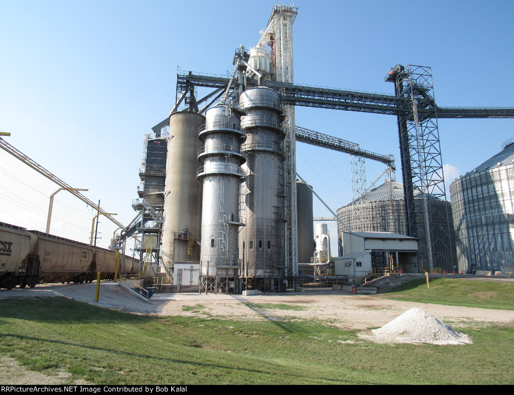 Grain cars on siding at Grain Elevator looking North