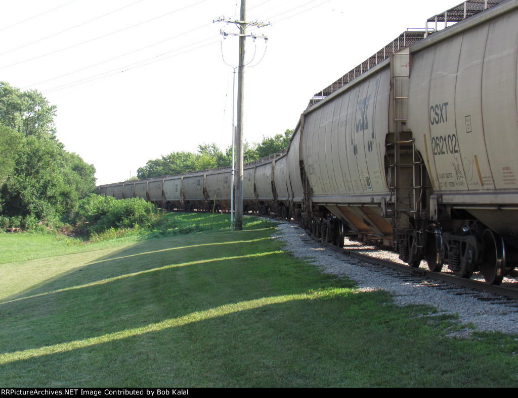 Grain cars on siding at Grain Elevator looking South