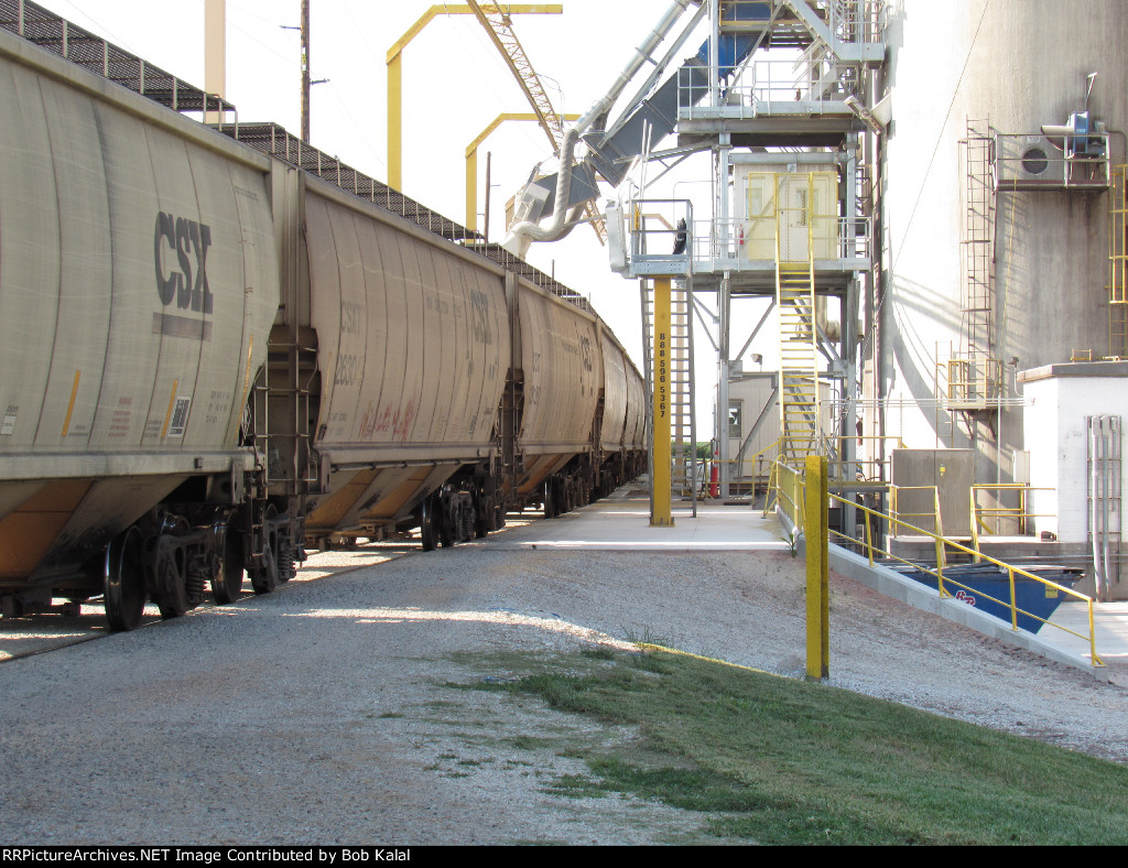 Grain cars on siding at Grain Elevator looking North