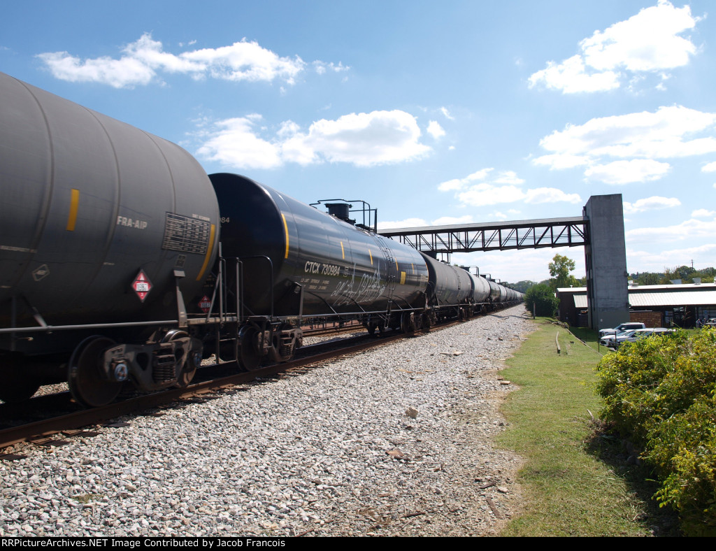 CTCX 730984