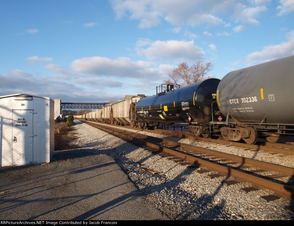 CTCX 731349