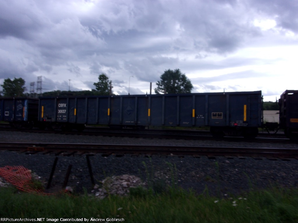 CEFX 30137