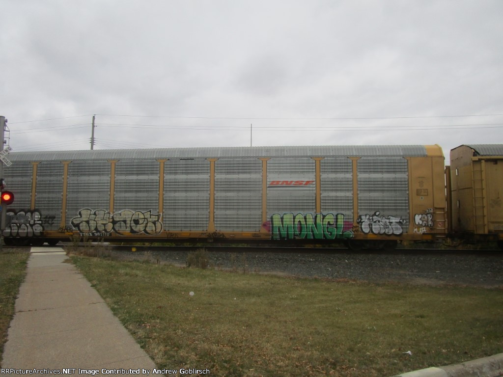 TTGX 967110