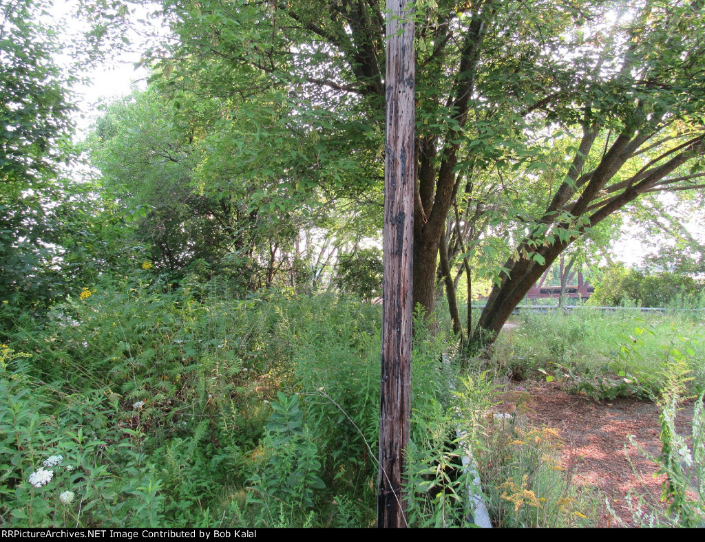 looking north up the track