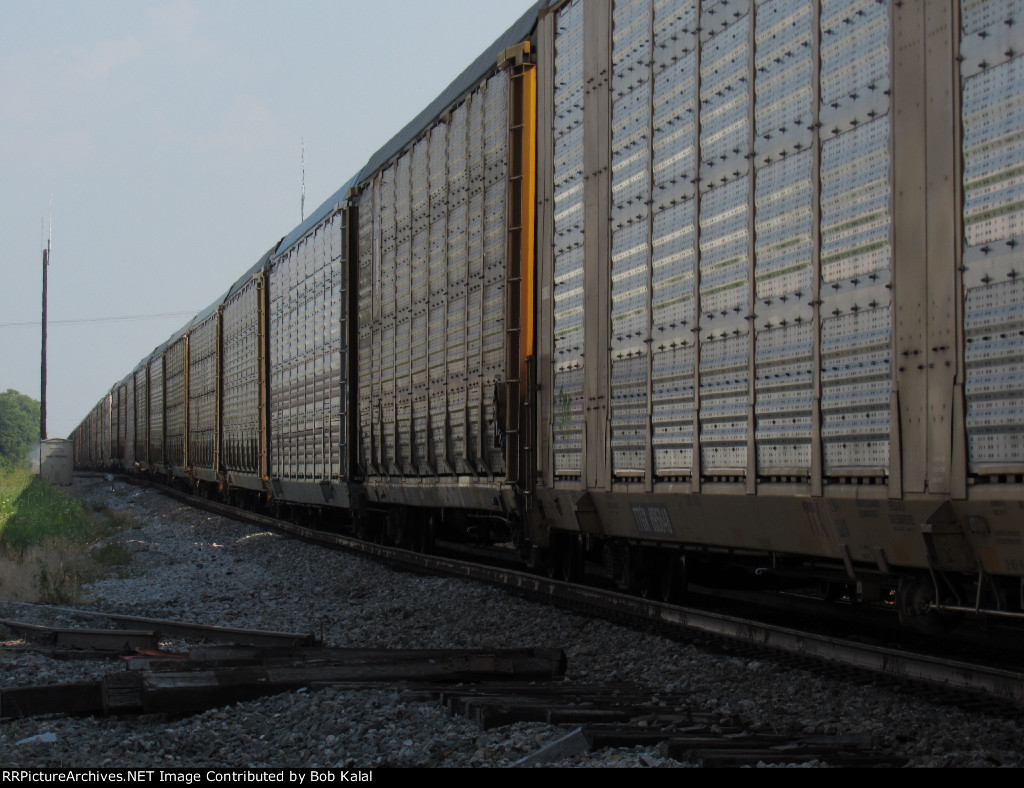 CSX 5351 & 156 heads north