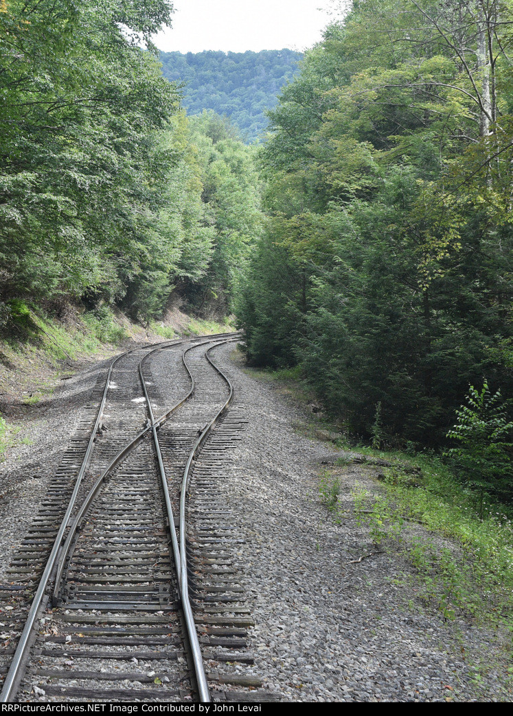 Rear of Sheat Salamander Train