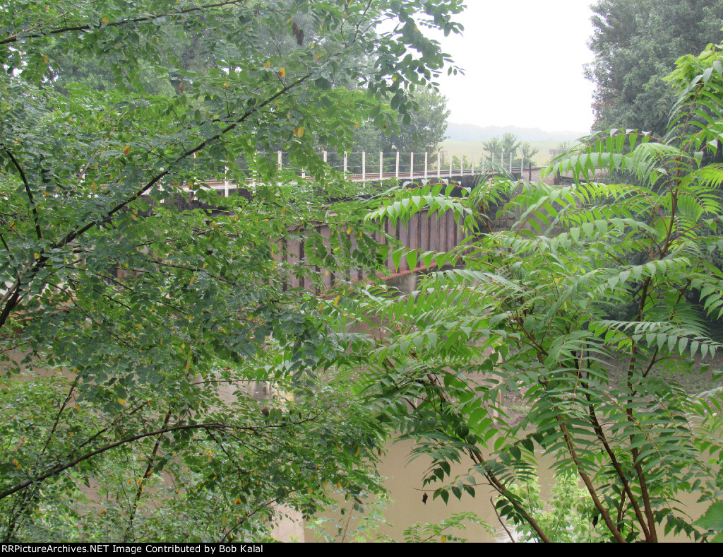 looking north thru the trees