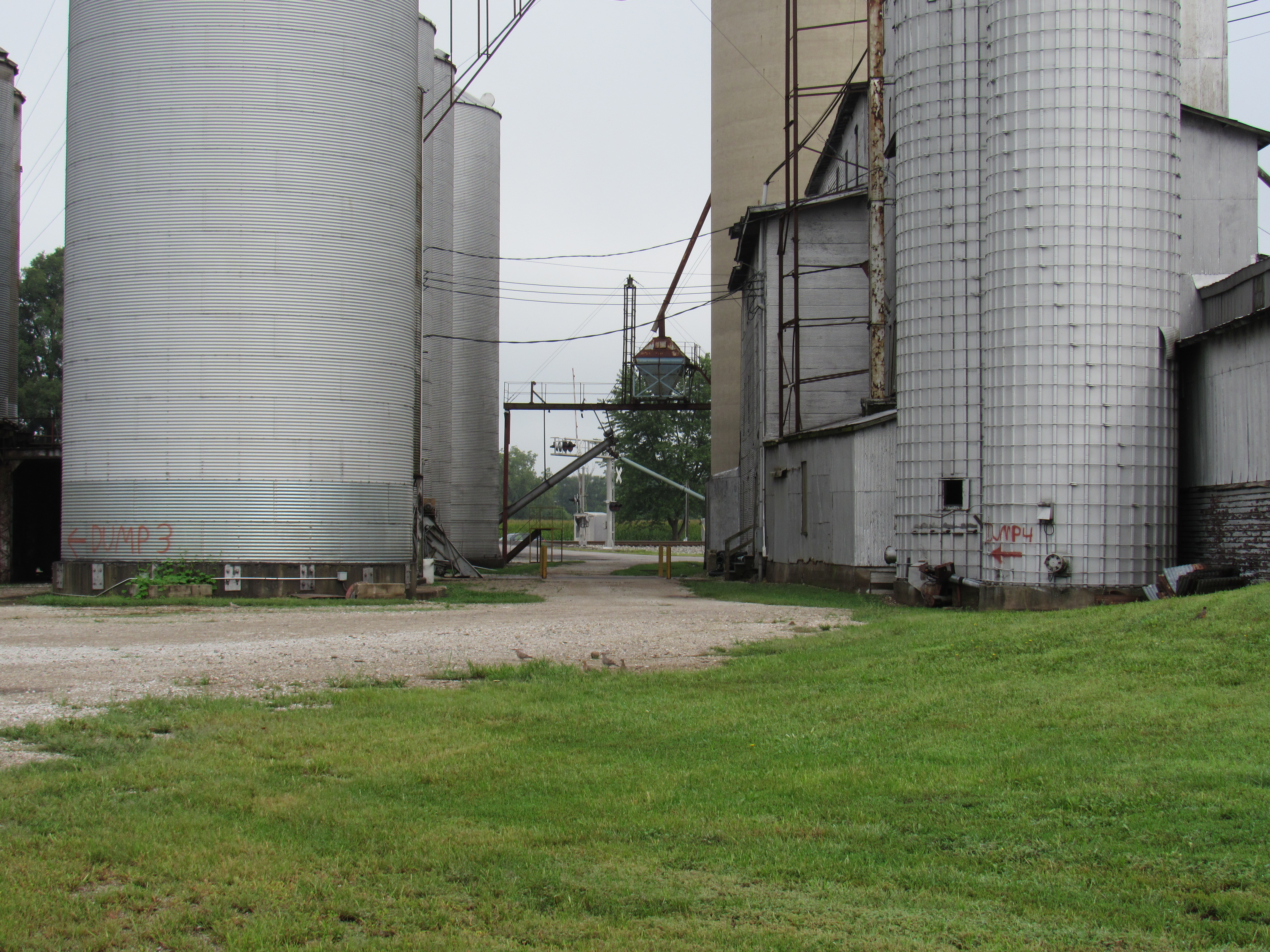  spur tracks off north south main line came thru here