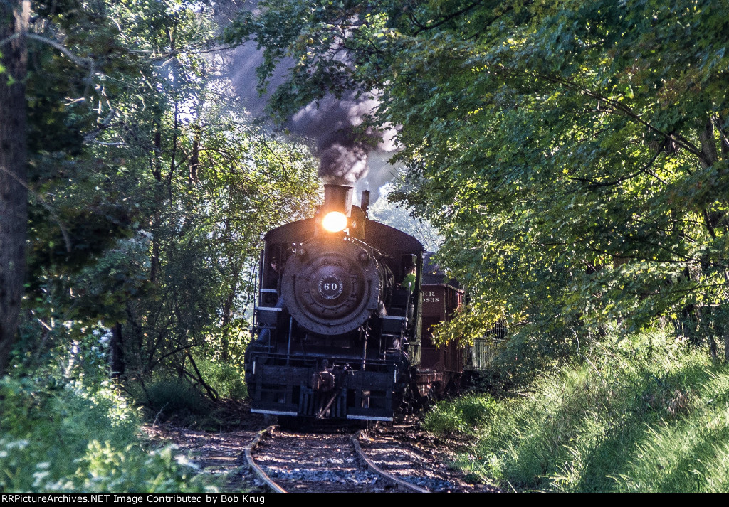 BRW 60 through the tree tunnel