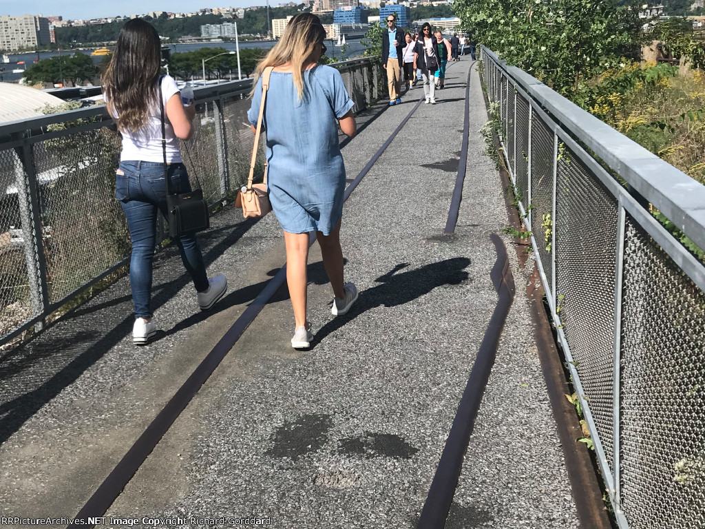 This is the ex NY Central highline in NY City here we see one track covers over as a walk way and you can see where there used to be a switch