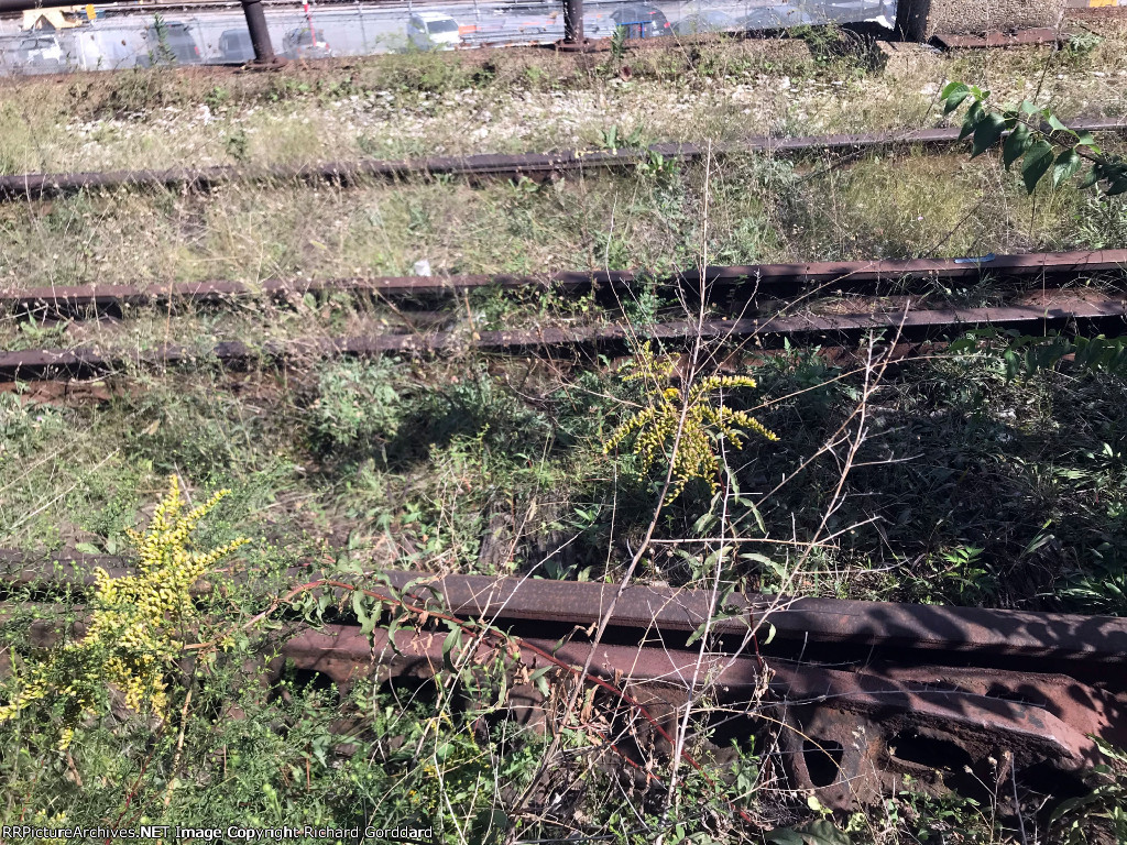 Site of a switch on the ex NY Central Highline