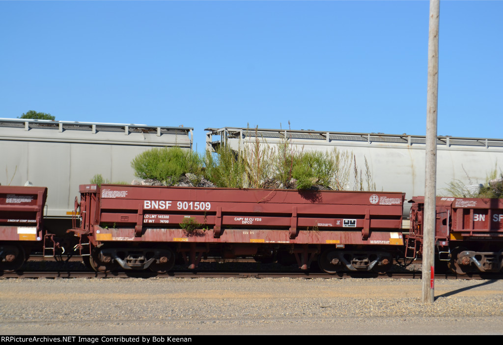 BNSF 901509