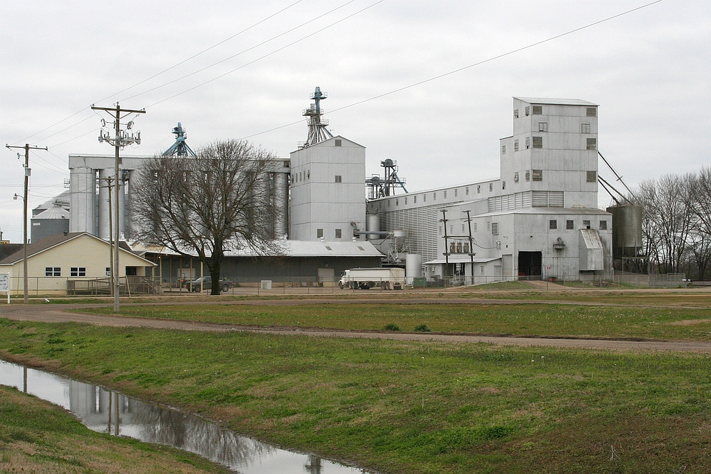 Older part of grain plant