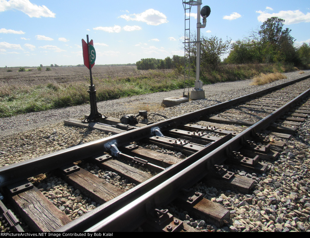 Spring Switch  & Stand